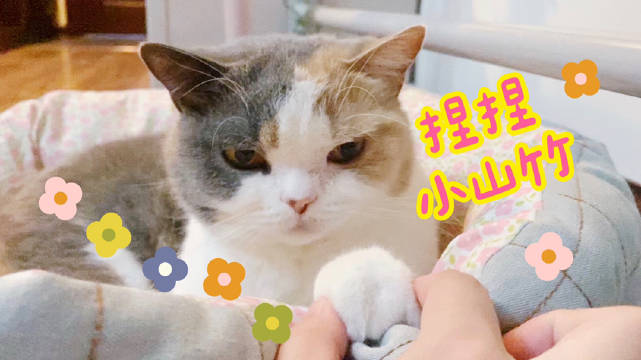 花样宅家挑战